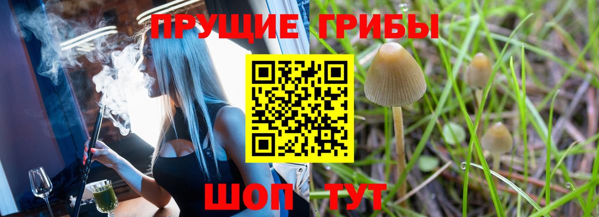 Казань  Галлюциногенные грибы Magic Shrooms  Вход с VPN 